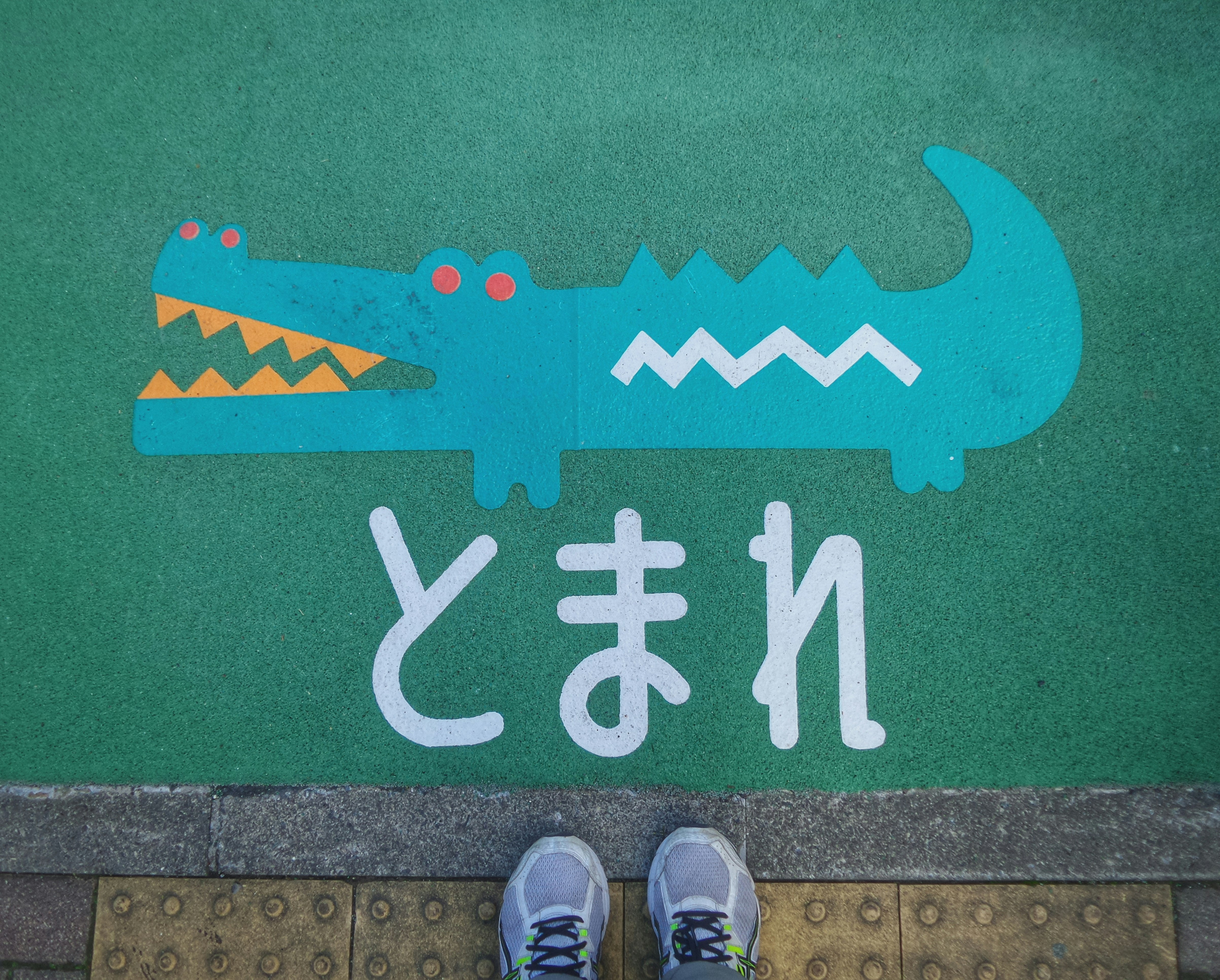 teal crocodile painted ground